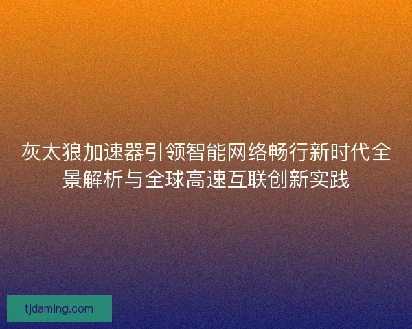 灰太狼加速器引领智能网络畅行新时代全景解析与全球高速互联创新实践