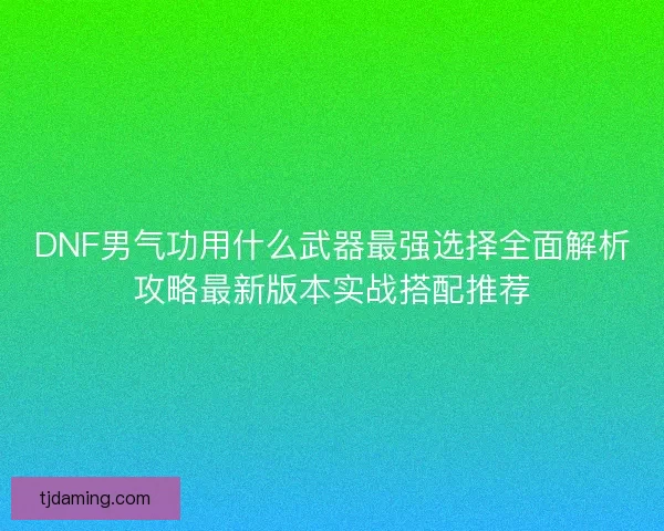 DNF男气功用什么武器最强选择全面解析攻略最新版本实战搭配推荐