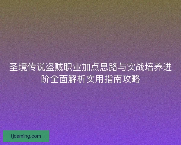 圣境传说盗贼职业加点思路与实战培养进阶全面解析实用指南攻略