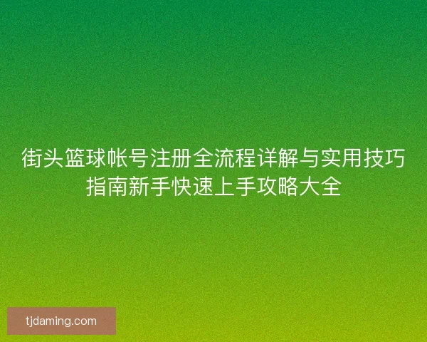 街头篮球帐号注册全流程详解与实用技巧指南新手快速上手攻略大全