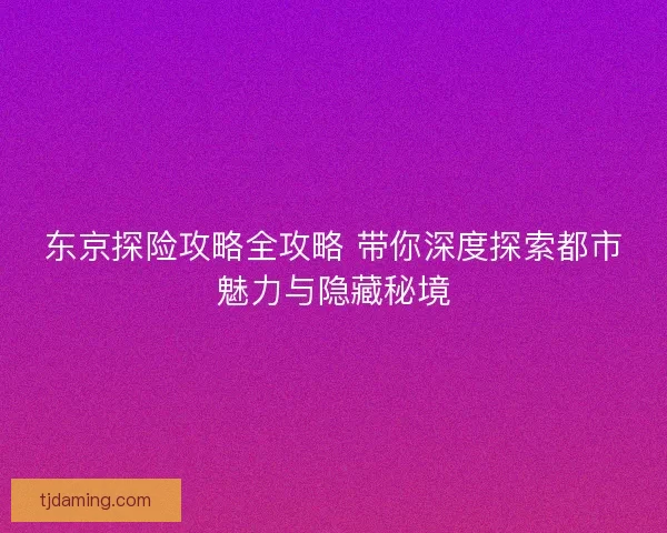 东京探险攻略全攻略 带你深度探索都市魅力与隐藏秘境