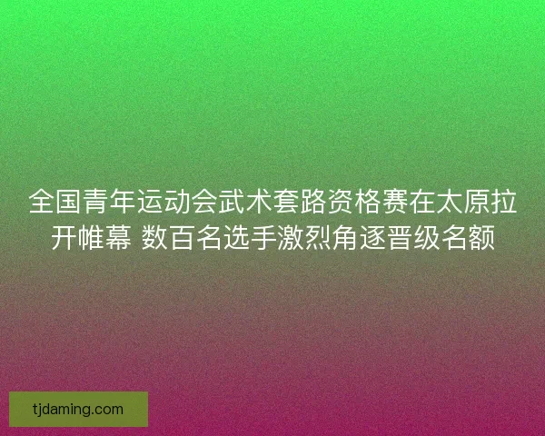 全国青年运动会武术套路资格赛在太原拉开帷幕 数百名选手激烈角逐晋级名额