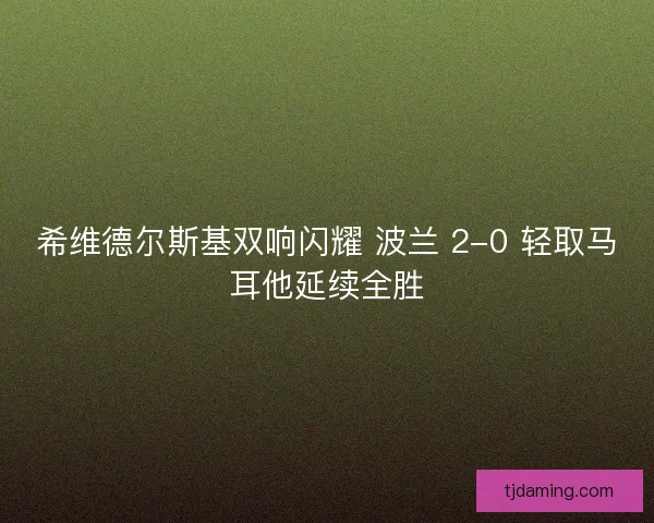 希维德尔斯基双响闪耀 波兰 2-0 轻取马耳他延续全胜
