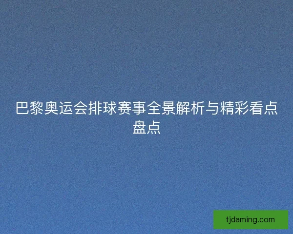 巴黎奥运会排球赛事全景解析与精彩看点盘点