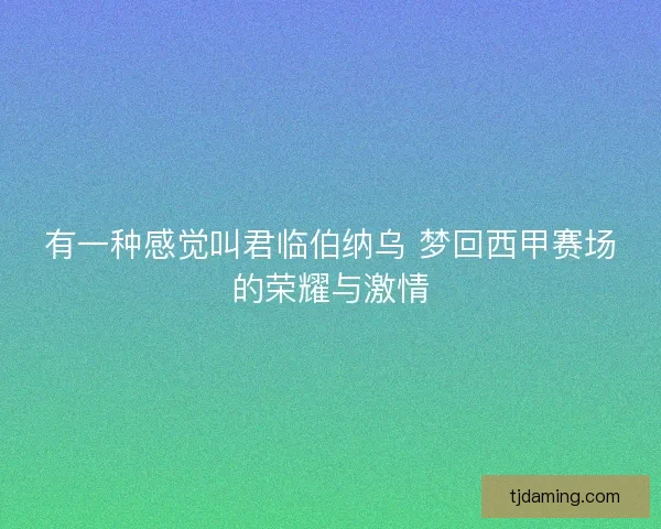 有一种感觉叫君临伯纳乌 梦回西甲赛场的荣耀与激情