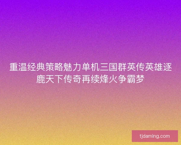 重温经典策略魅力单机三国群英传英雄逐鹿天下传奇再续烽火争霸梦