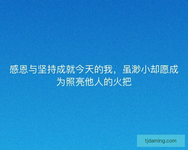 感恩与坚持成就今天的我，虽渺小却愿成为照亮他人的火把