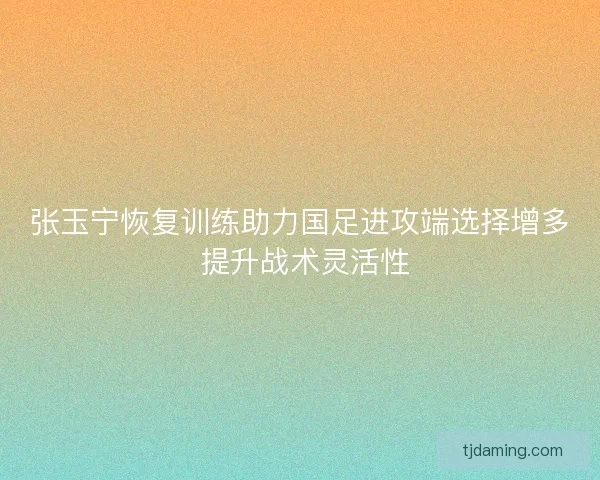 张玉宁恢复训练助力国足进攻端选择增多 提升战术灵活性